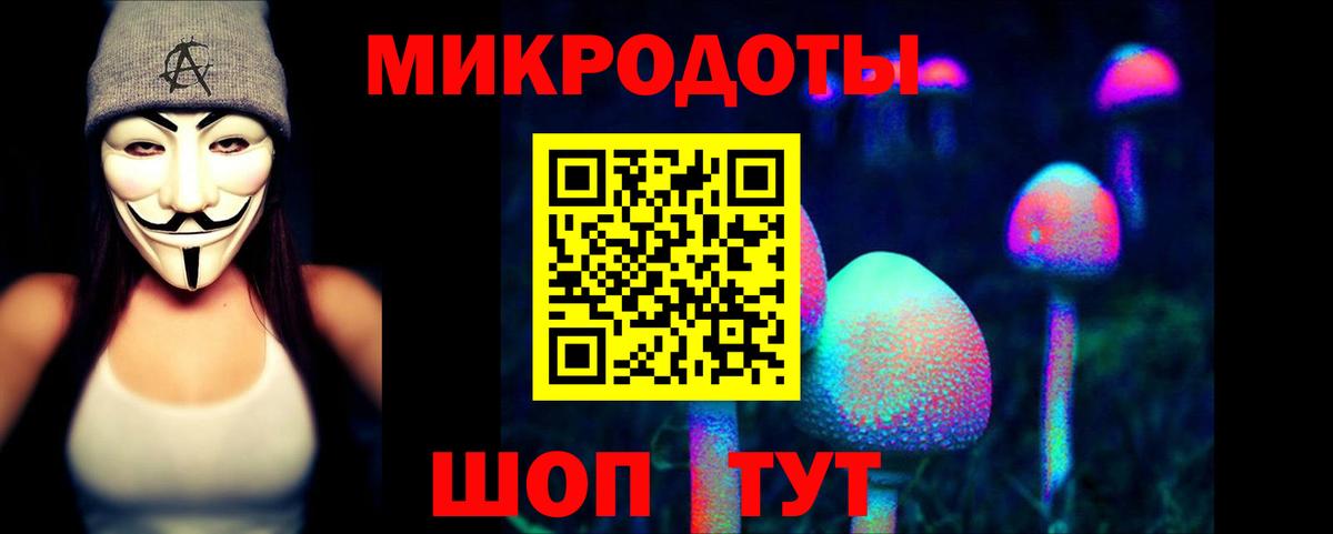 Псилоцибиновые грибы GOLDEN TEACHER Советская Гавань